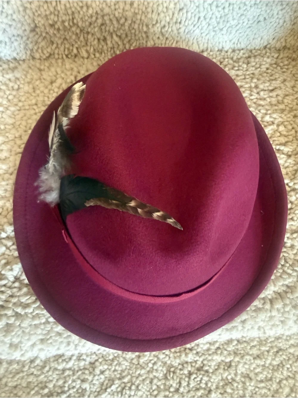 Pandora Burgundy Feather Trim Fedora Hat
